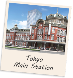 Tokyo Main Station
