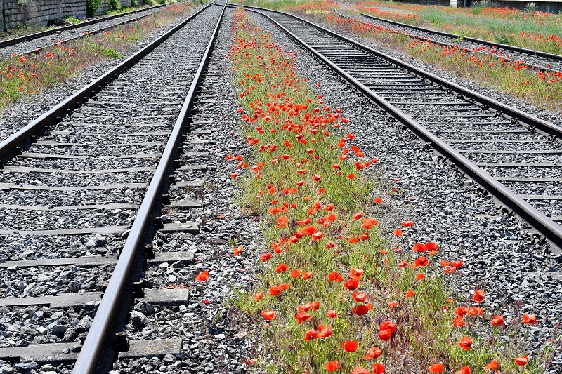 Railway Vegetation Management