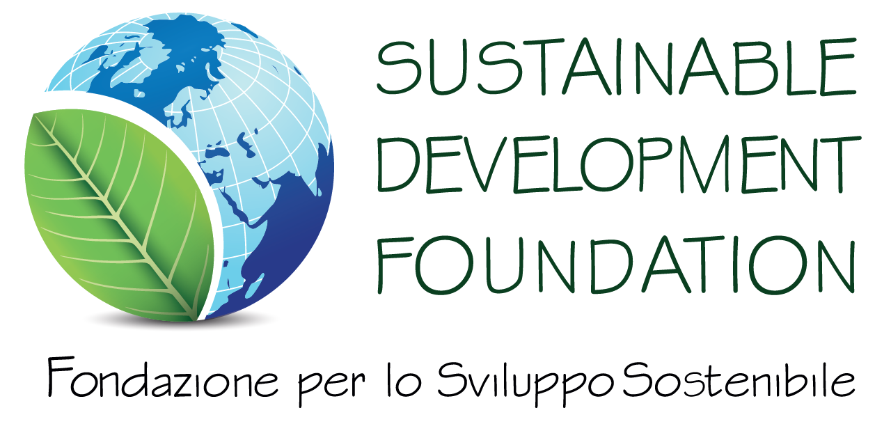 Dondazione per lo Sviluppo Sostenibile logo